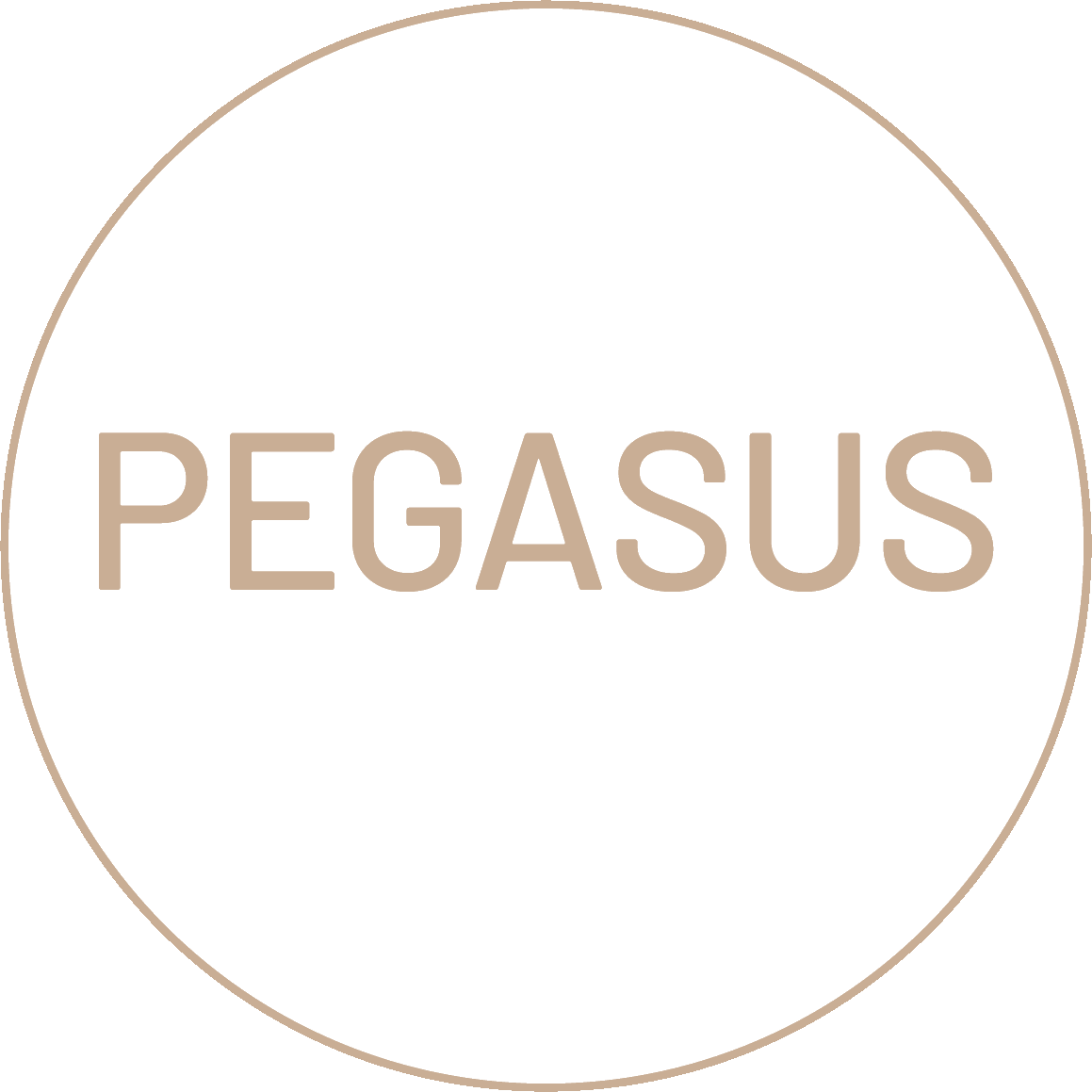 PEGASUS Hairdesign