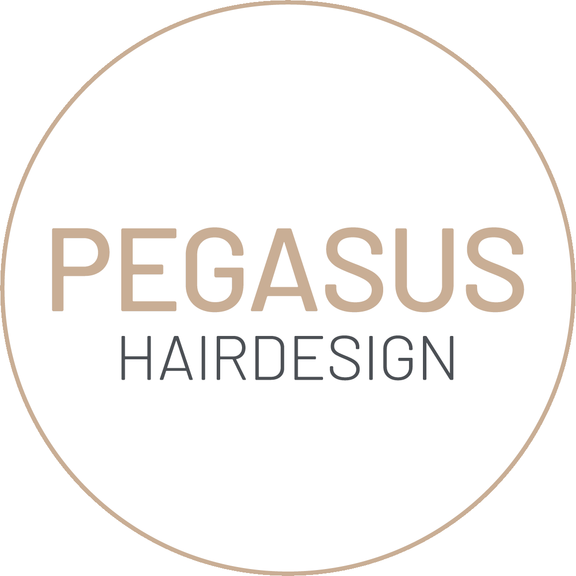 PEGASUS Hairdesign